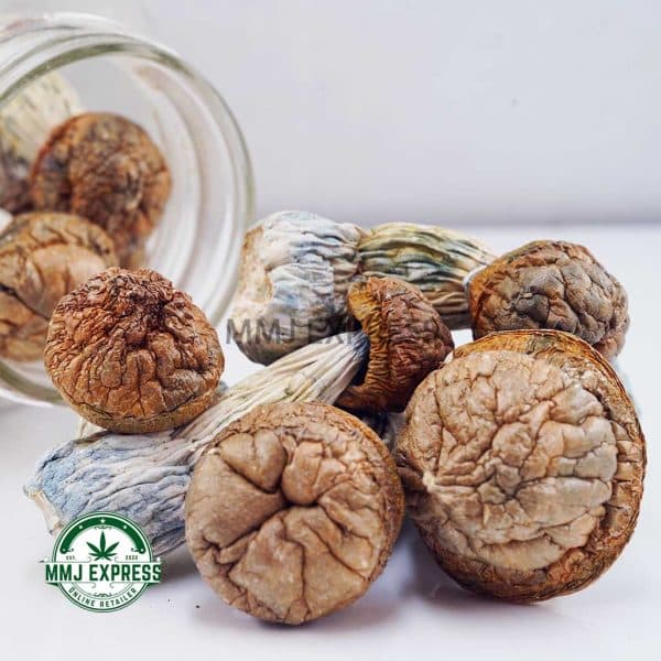 Buy Shrooms - Tidal Wave at MMJ Express Online Shop