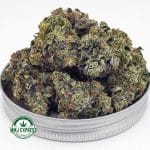 Buy Cannabis OG Octane AAAA+, Craft at MMJ Express Online Shop
