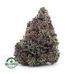Buy Cannabis Tom Ford Pink Kush AAAA+, Craft at MMJ Express Online Shop