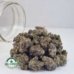 Buy Cannabis Holy Grail AAAA (Popcorn Nugs) MMJ Express Online Shop