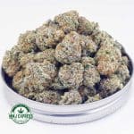 Buy Cannabis Tahoe Cookies AAAA (Popcorn Nugs) MMJ Express Online Shop