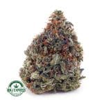 Buy Cannabis Pink Kush AAA at MMJ Express Online Shop