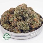 Buy Cannabis Pink Kush AAA at MMJ Express Online Shop