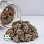 Buy Cannabis Pink Kush AAA at MMJ Express Online Shop