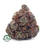 Buy Cannabis Pink Gas Mask Bubba AAAA+, Craft at MMJ Express Online Shop