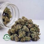 Buy Cannabis Kush Berry AAAA (Popcorn) at MMJ Express Online Shop