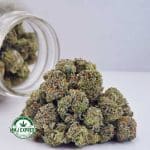 Buy Cannabis AK-47 AA at MMJ Express Online Shop