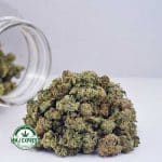 Buy Cannabis Rock Tuna AAAA (Popcorn Nugs) at MMJ Express Online Shop