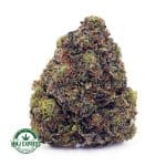 Buy Cannabis Durban Poison AAA at MMJ Express Online Shop
