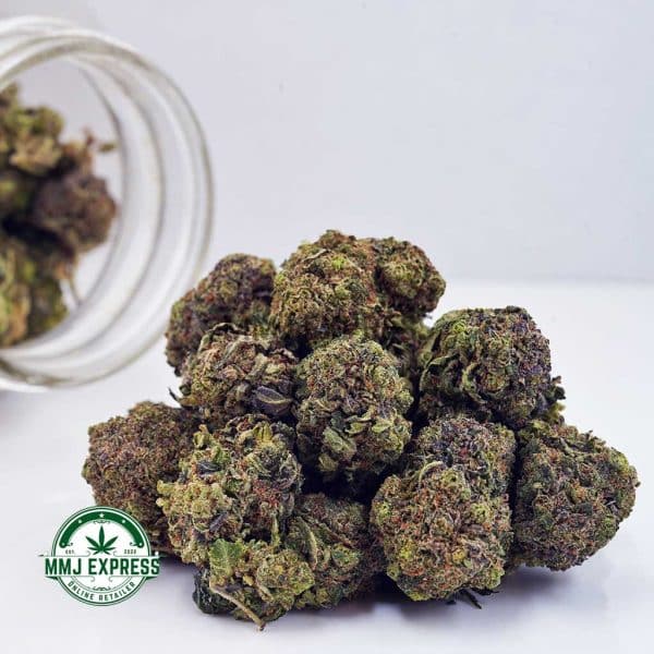 Buy Cannabis Durban Poison AAA at MMJ Express Online Shop