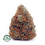 Buy Cannabis Cookies & Cream AAA at MMJ Express Online Shop