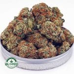 Buy Cannabis Cookies & Cream AAA at MMJ Express Online Shop