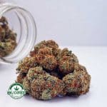 Buy Cannabis Cookies & Cream AAA at MMJ Express Online Shop