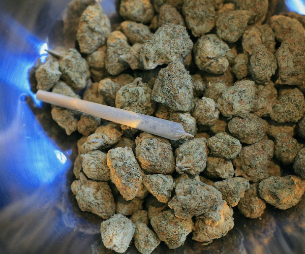 Fruity Pebbles OG cannabis buds with colorful hues and trichomes, representing detailed strain information and lineage