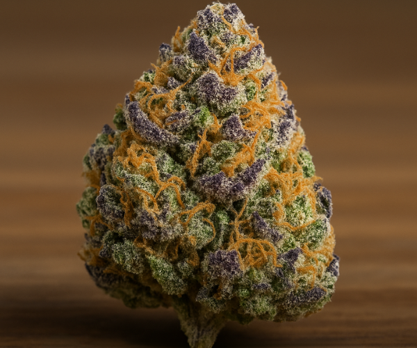 Close-up of Gastro Pop strain nug with vibrant purple, orange, and green hues on a wooden surface