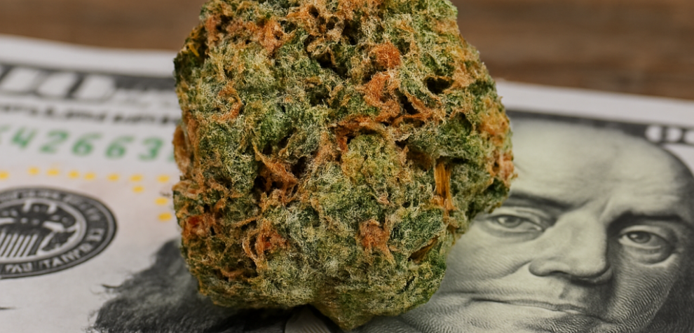 Close-up of a Zkittlez cannabis bud placed on a hundred-dollar bill, symbolizing its value