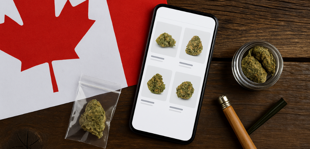 Smartphone showing cannabis products, next to Canadian flag and weed jars, symbolizing top online dispensaries in Canada