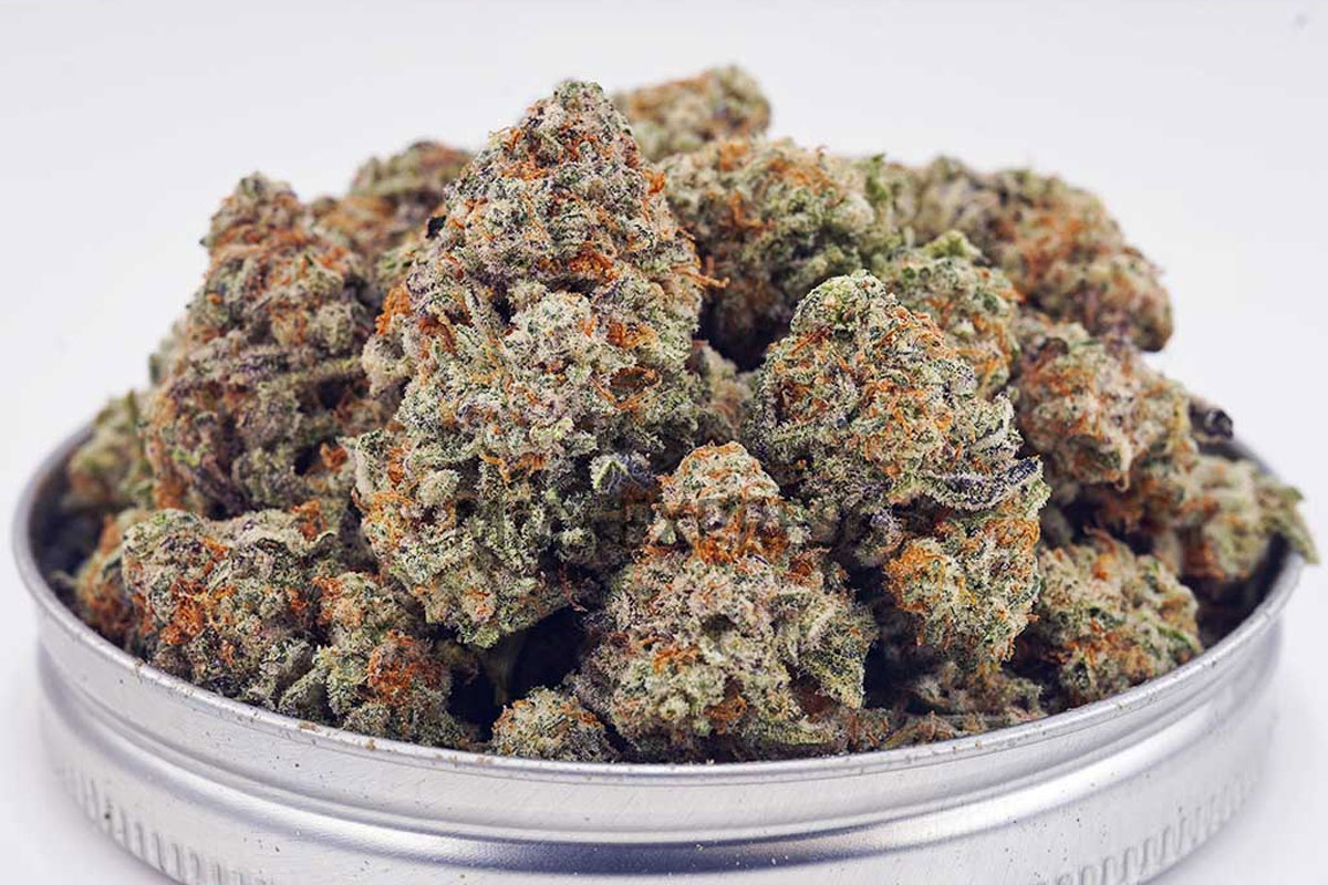 guava punch cannabis