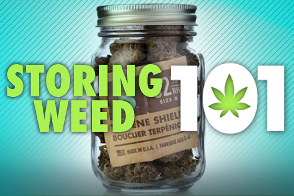 storing weed 101