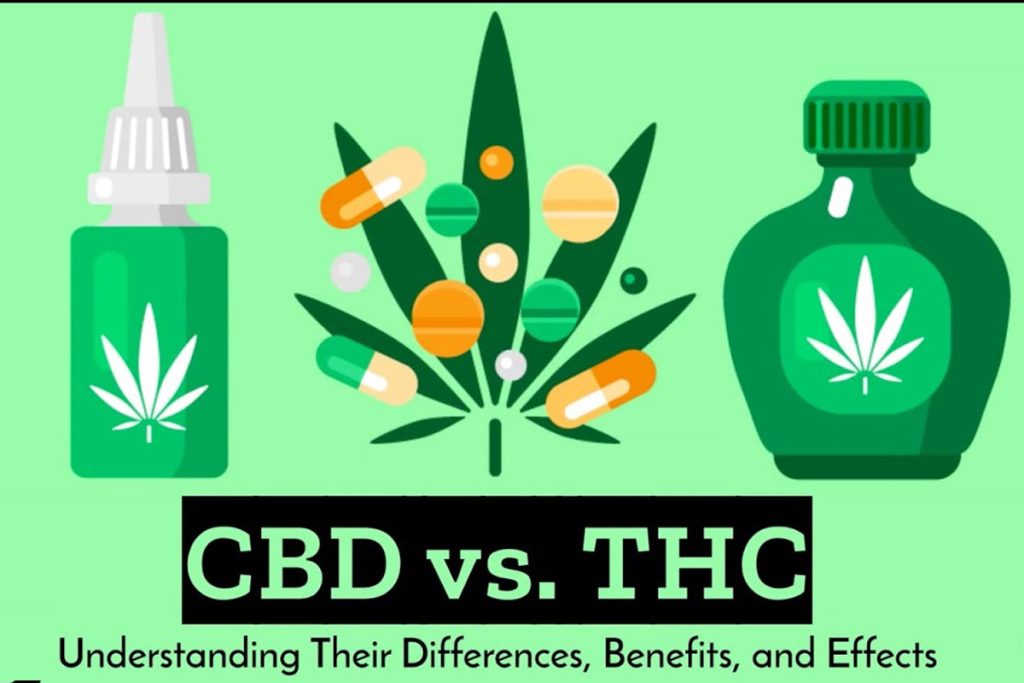 thc vs cbd