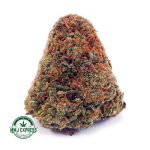 Buy Cannabis Diesel Kush AA at MMJ Express Online Shop