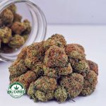 Buy Cannabis Diesel Kush AA at MMJ Express Online Shop