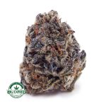 Buy Cannabis Berry Punch AAAA at MMJ Express Online Shop
