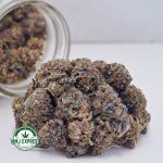 Buy Cannabis Berry Punch AAAA at MMJ Express Online Shop