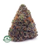 Buy Cannabis Gorilla OG AAAA at MMJ Express Online Shop