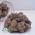 Buy Cannabis Gorilla OG AAAA at MMJ Express Online Shop