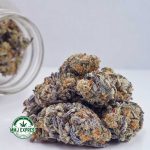 Buy Cannabis Grey Goose AAAA at MMJ Express Online Shop