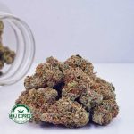 Buy Cannabis Cake Mintz AAA at MMJ Express Online Shop