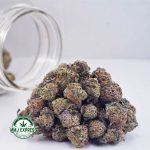 Buy Cannabis Purple Crack AAAA (Popcorn Nugs) at MMJ Express Online Shop