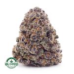 Buy Cannabis Jelly Breath AAAA at MMJ Express Online Shop