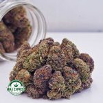 Buy Cannabis 33 Splitter AAA at MMJ Express Online Shop