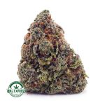 Buy Cannabis Gorilla Glue #4 AAA at MMJ Express Online Shop