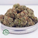 Buy Cannabis Gorilla Glue #4 AAA at MMJ Express Online Shop