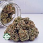 Buy Cannabis Gorilla Glue #4 AAA at MMJ Express Online Shop