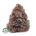 Buy Cannabis OG Cheese AA at MMJ Express Online Shop