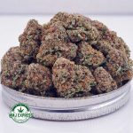 Buy Cannabis OG Cheese AA at MMJ Express Online Shop