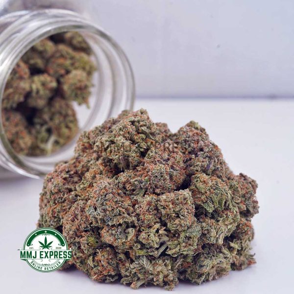 Buy Cannabis OG Cheese AA at MMJ Express Online Shop