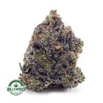 Buy Cannabis Island Pink Kush AAAA+, Craft at MMJ Express Online Shop