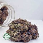 Buy Cannabis Pink Ice Cream Cake AAAA+, Craft at MMJ Express Online Shop