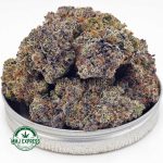 Buy Cannabis 91 Octane AAAA+ Craft at MMJ Express Online Shop