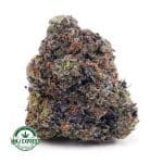 Buy Cannabis Pink Rob Ford AAAA+, Craft at MMJ Express Online Shop