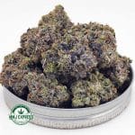 Buy Cannabis Pink Rob Ford AAAA+, Craft at MMJ Express Online Shop