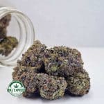 Buy Cannabis Pink Rob Ford AAAA+, Craft at MMJ Express Online Shop