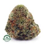 Buy Cannabis Maui Wowie AA at MMJ Express Online Shop
