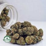 Buy Cannabis Maui Wowie AA at MMJ Express Online Shop
