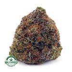 Buy Cannabis Birthday Cake Kush AAA at MMJ Express Online Shop